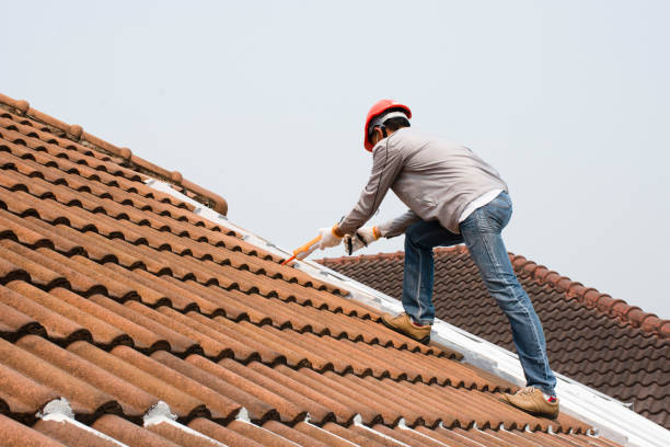 Best Solar Panel Roofing Installation  in Occoquan, VA