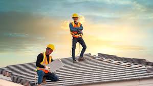 Best Roof Moss and Algae Removal  in Occoquan, VA